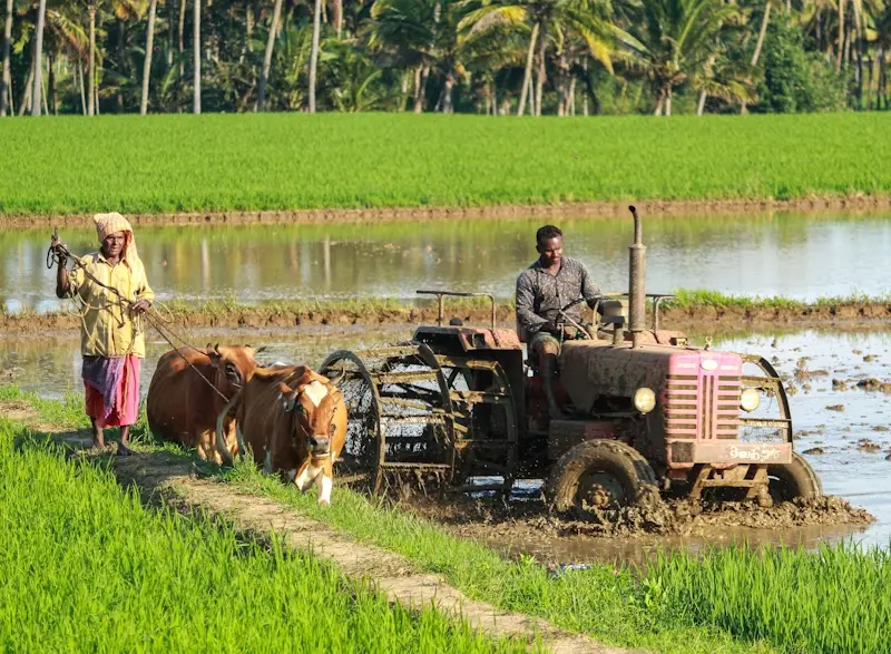 Farms & Production