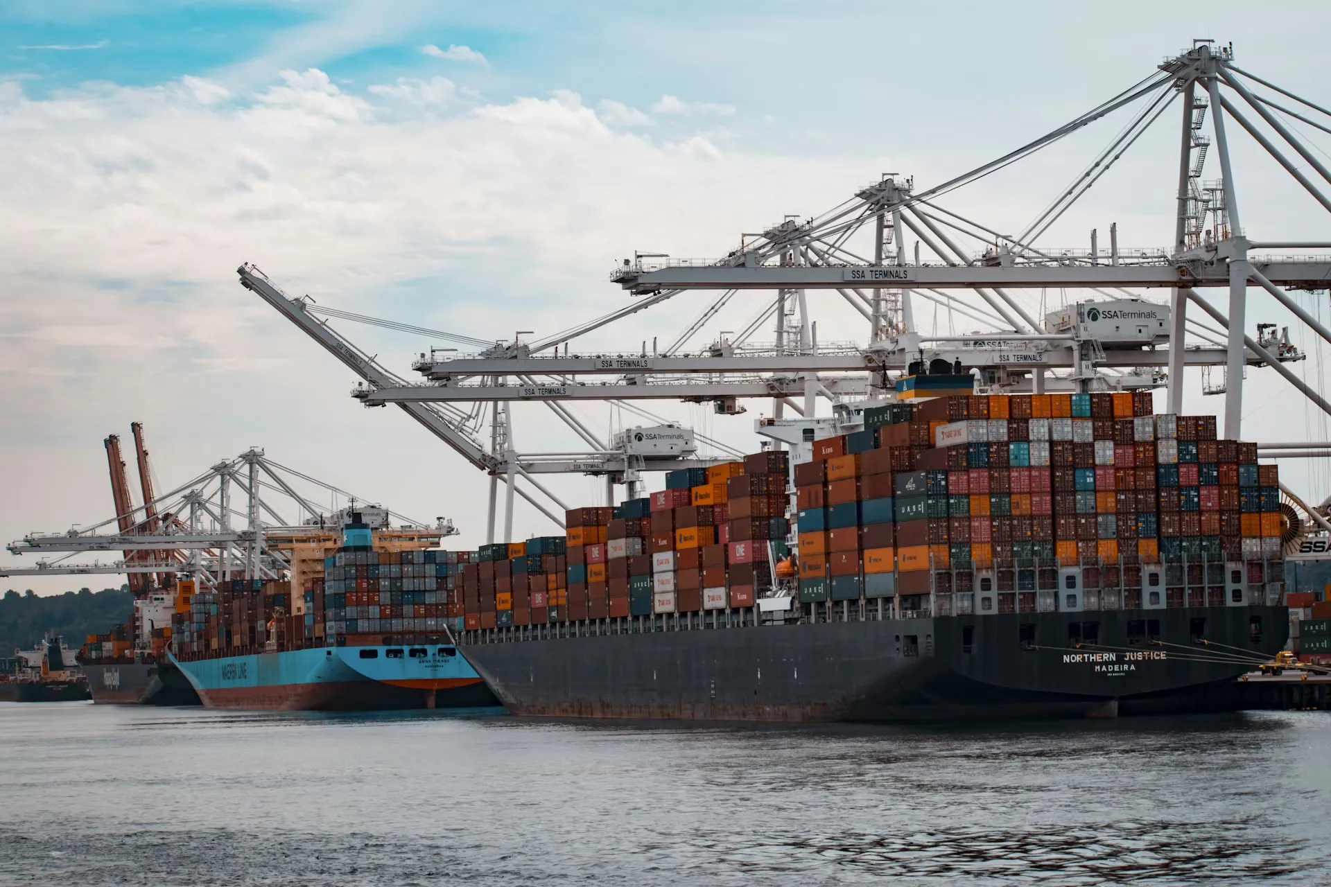 Trade & Export