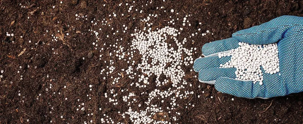Fertilizers and Nutrients