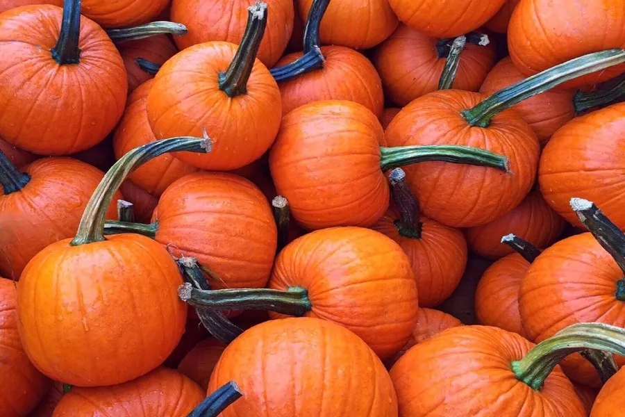 Pumpkins