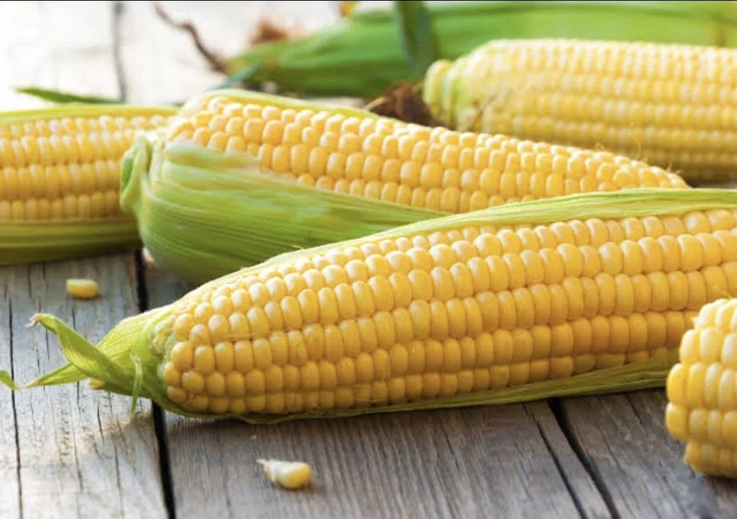 Sweet Corn