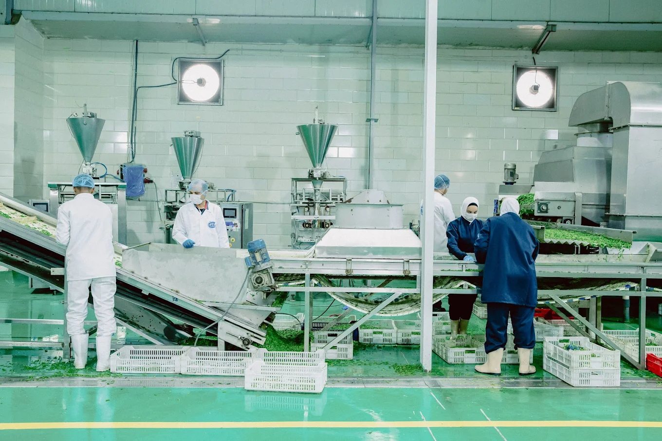 Food Processing