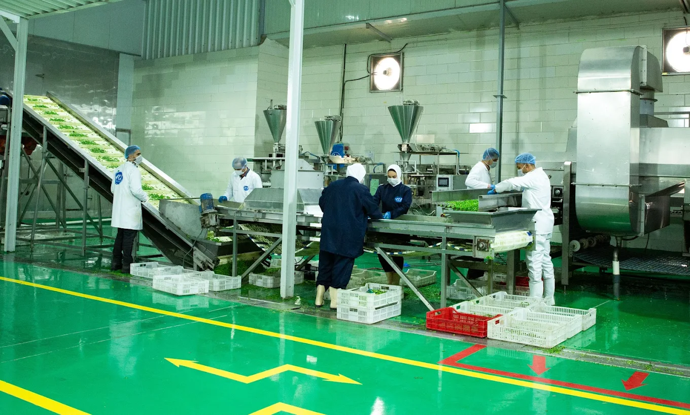 Factory line 2